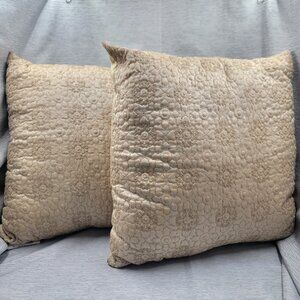 Whimsical Cream and Gold Accent Pillow – Set of 2
